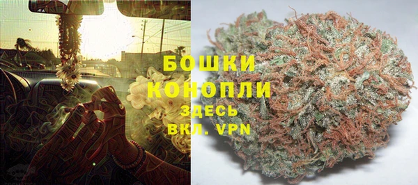 прущие грибы Алзамай