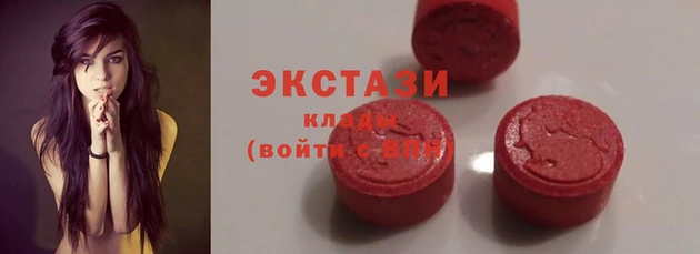 прущие грибы Алзамай