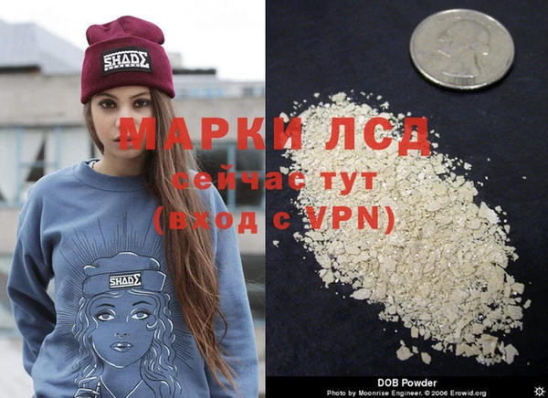 PSILOCYBIN Абинск