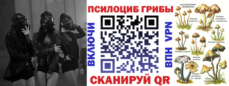 Галлюциногенные грибы GOLDEN TEACHER  Сарапул 