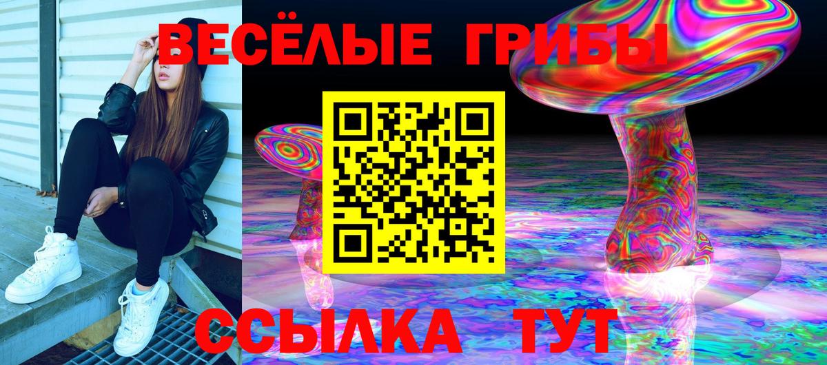 Псилоцибиновые грибы Cubensis  Вход с VPN  Псилоцибиновые грибы MAGIC MUSHROOMS  Сарапул 